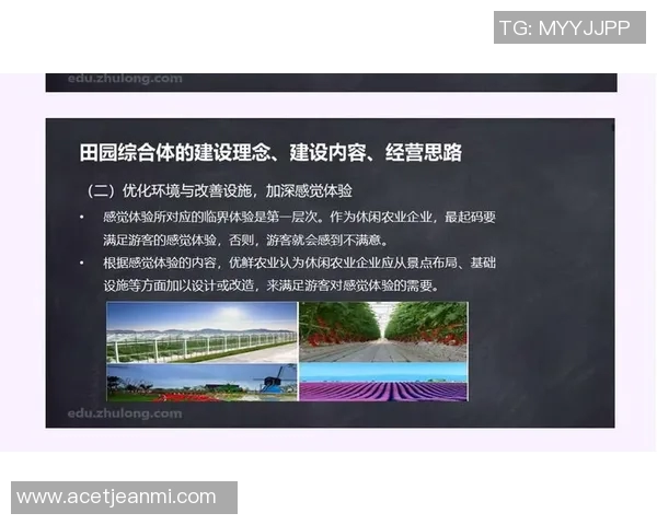 赛事管理创新与优化实践探索：提升赛事效率与观众体验的综合策略